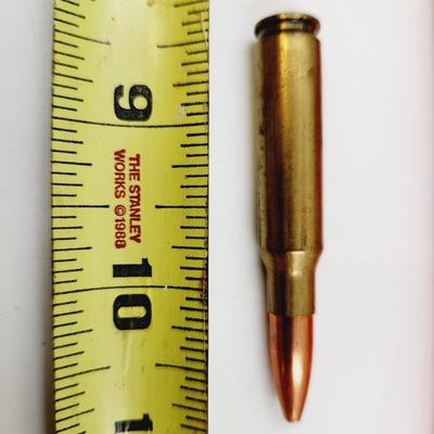 WINCHESTER 308 AMMO & CASE