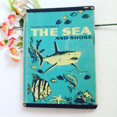 Golden Book Sea and Shore 