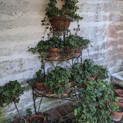 Large Plant Stand with plants