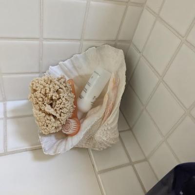 Bath Seashells 
