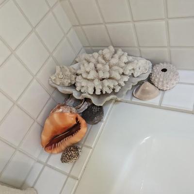 Bath Seashells 