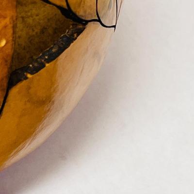 Beautiful Gourd with Leaf Design