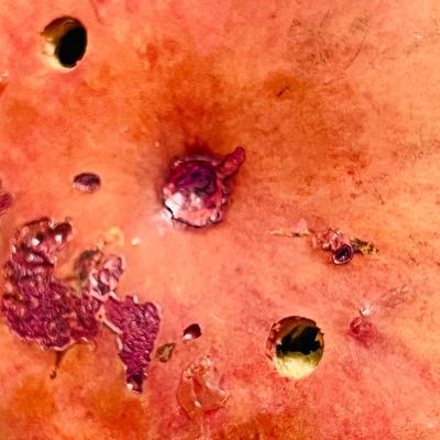 Beautiful Hand-Painted Hanging Gourd