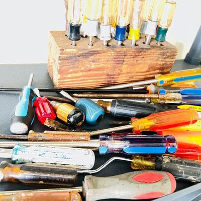 Lots of Screwdrivers  (G-JM)