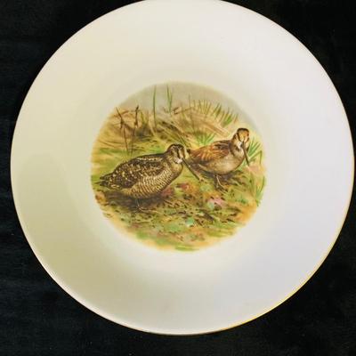 Animal Pictured Plates     ( DR -RH)