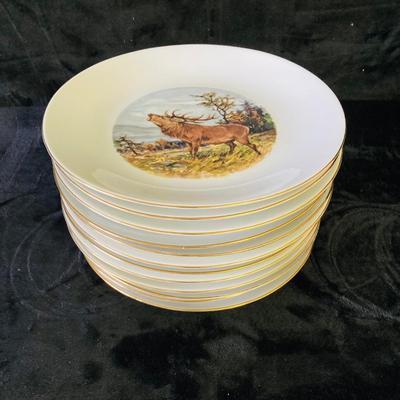 Animal Pictured Plates     ( DR -RH)