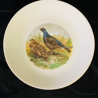 Animal Pictured Plates     ( DR -RH)