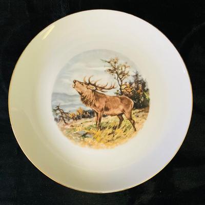 Animal Pictured Plates     ( DR -RH)