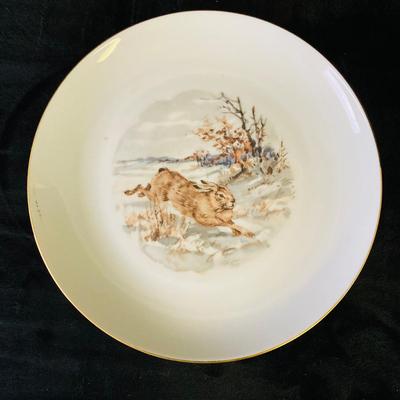 Animal Pictured Plates     ( DR -RH)