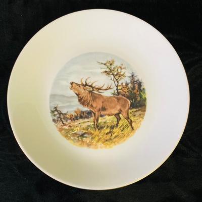 Animal Pictured Plates     ( DR -RH)