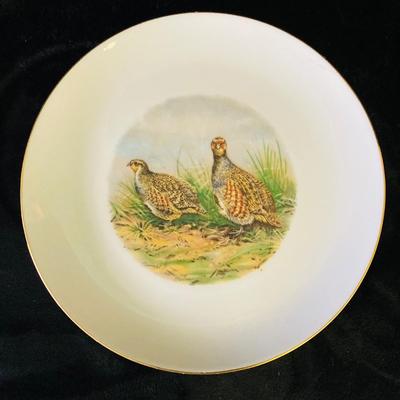 Animal Pictured Plates     ( DR -RH)