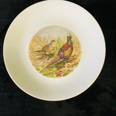 Animal Pictured Plates     ( DR -RH)