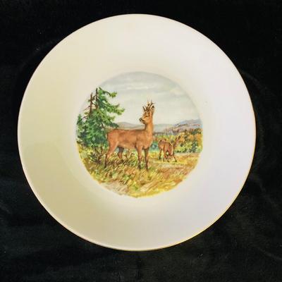 Animal Pictured Plates     ( DR -RH)
