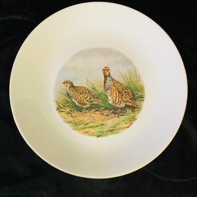 Animal Pictured Plates     ( DR -RH)