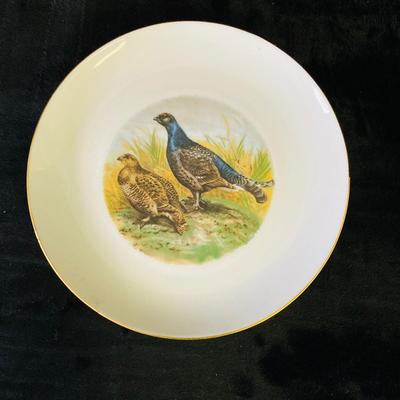 Animal Pictured Plates     ( DR -RH)