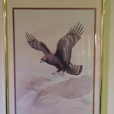 David Andrews  Print