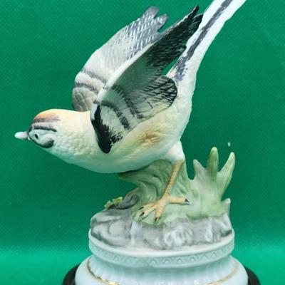 Bird Art