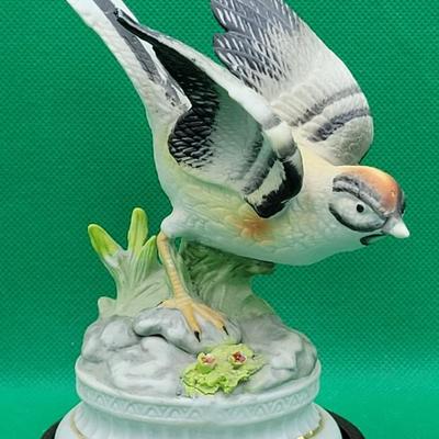 Bird Art