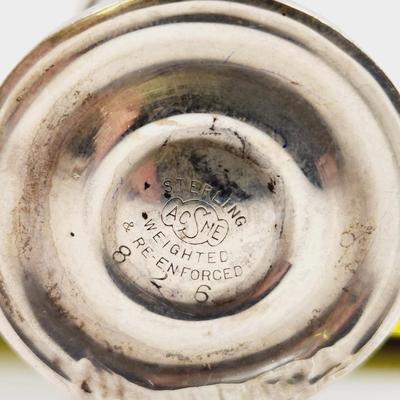 WEIGHTED STERLING ACSME SHAKER