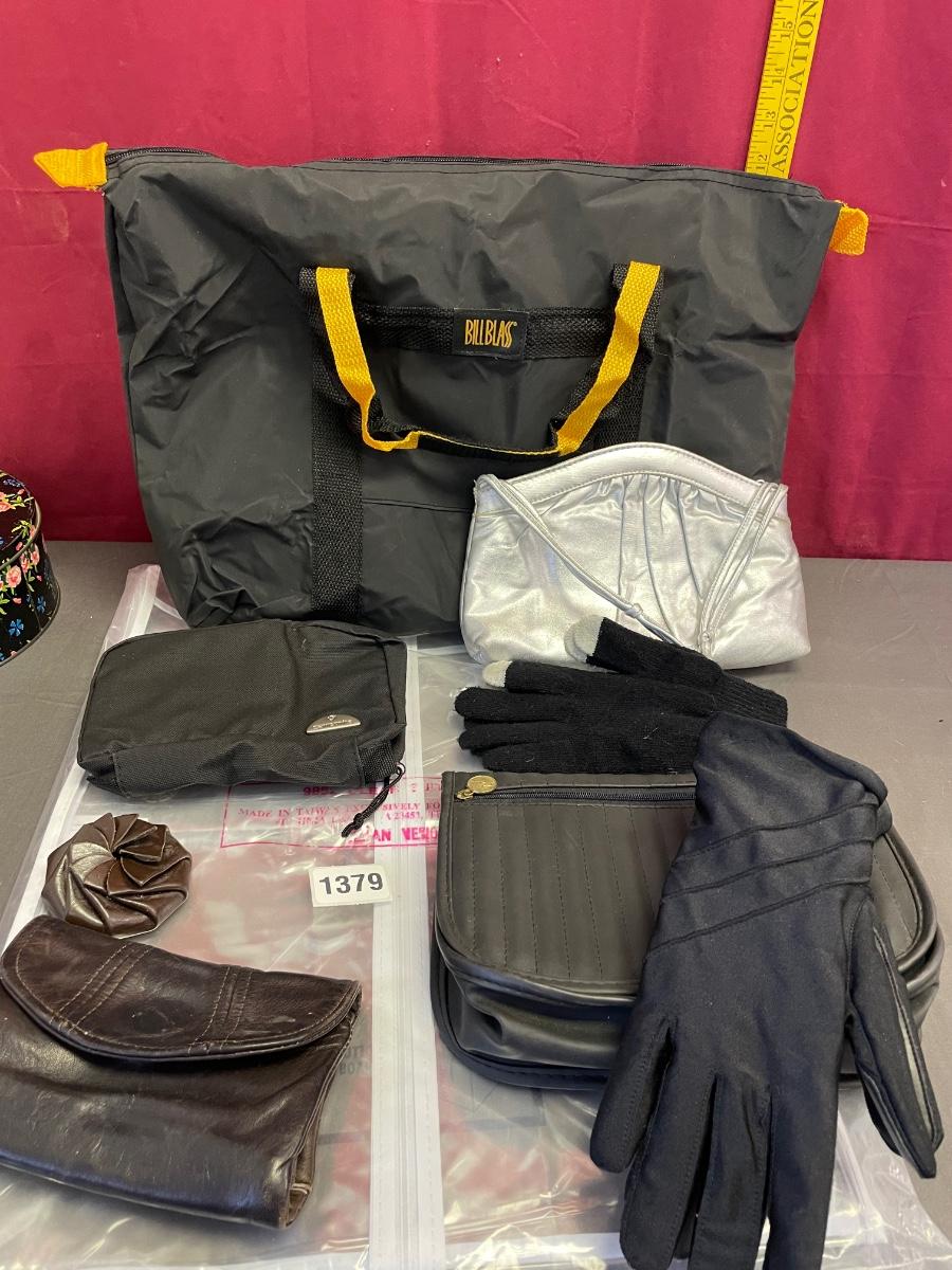 Bags and clear garment bag