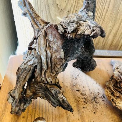 Lot of Drift Wood