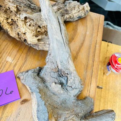 Lot of Drift Wood