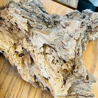 Lot of Drift Wood