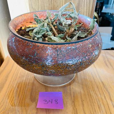 Glass Planter