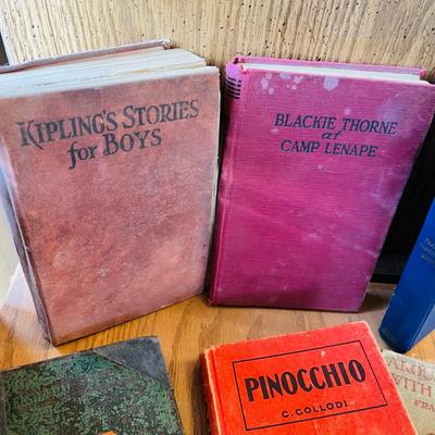 Lot of Vintage Books