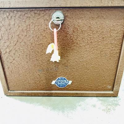Hercules Storage Safe (G-JM)