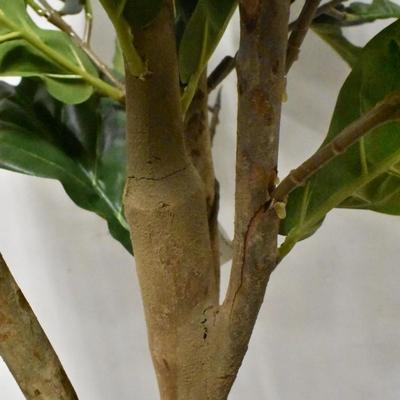 Faux Fig Tree, Base Damaged