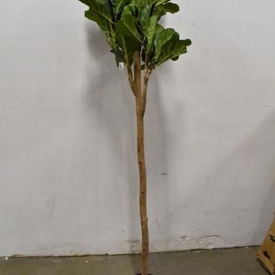 Faux Fig Tree, Base Damaged