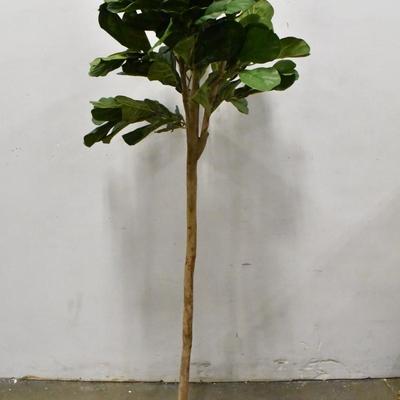 Faux Fig Tree, Base Damaged