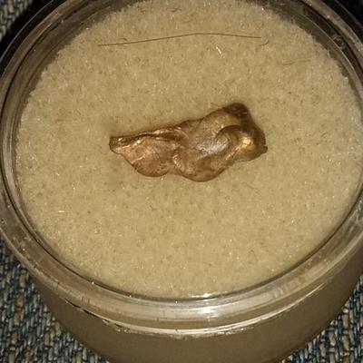 .5 gram Yukon Gold Picker Nugget