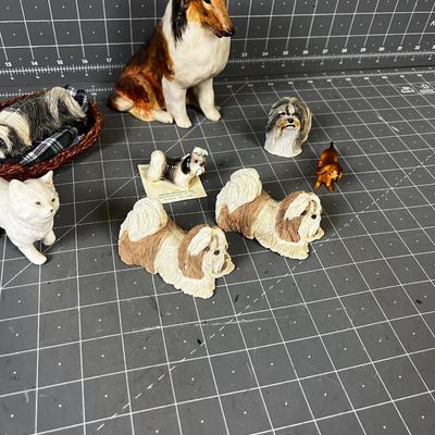 Lot of Dogs and A Cat