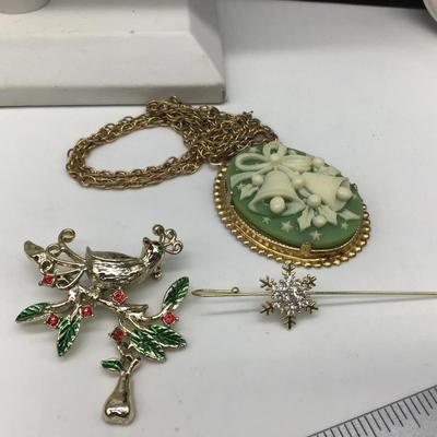 Holiday Pendant and Chain. Pin,. Brooch ,