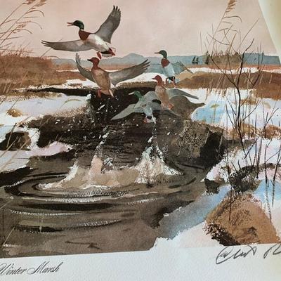 Winter Marsh Signed Water Fowl Litho Chet Reneson
