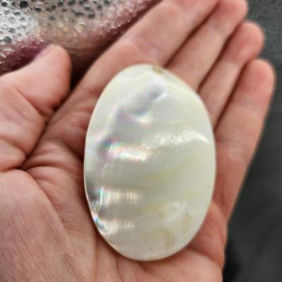 BEAUTIFUL MOTHER OF PEARL SHELL PENDANT