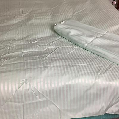 Lot 8412 Schweitner Queen/King Lt. Green Duvet Cover, Matching Flat Sheet/Pair of Lt Blue Pillow Shams