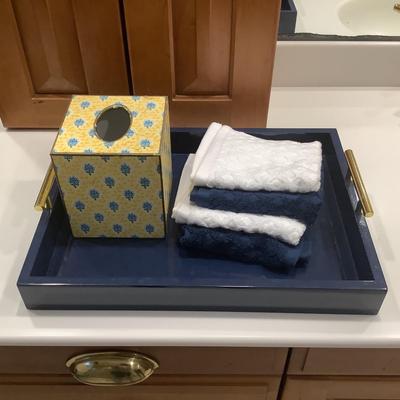 8393 Rectangle Gold Handle Tray with Marye Kelley Tissue Cover