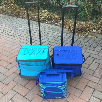 8470 Set of Three Rio Gear Rolling Lunch Bags