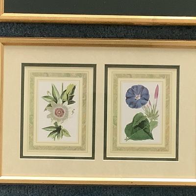 Lot 8542. Signed & Numbered Print of Tulips by. Lyn Snow / Lithographs of Morning Glory and Passion Flowers