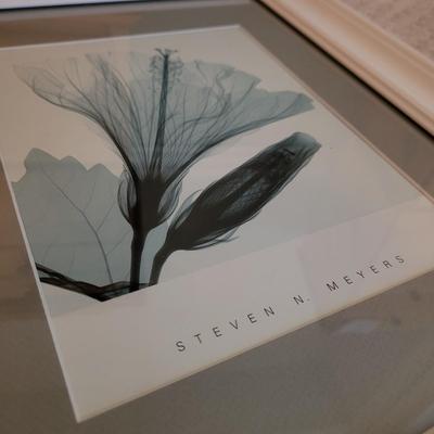 Set of Three Steven N. Meyers Framed Prints (DB-CE)