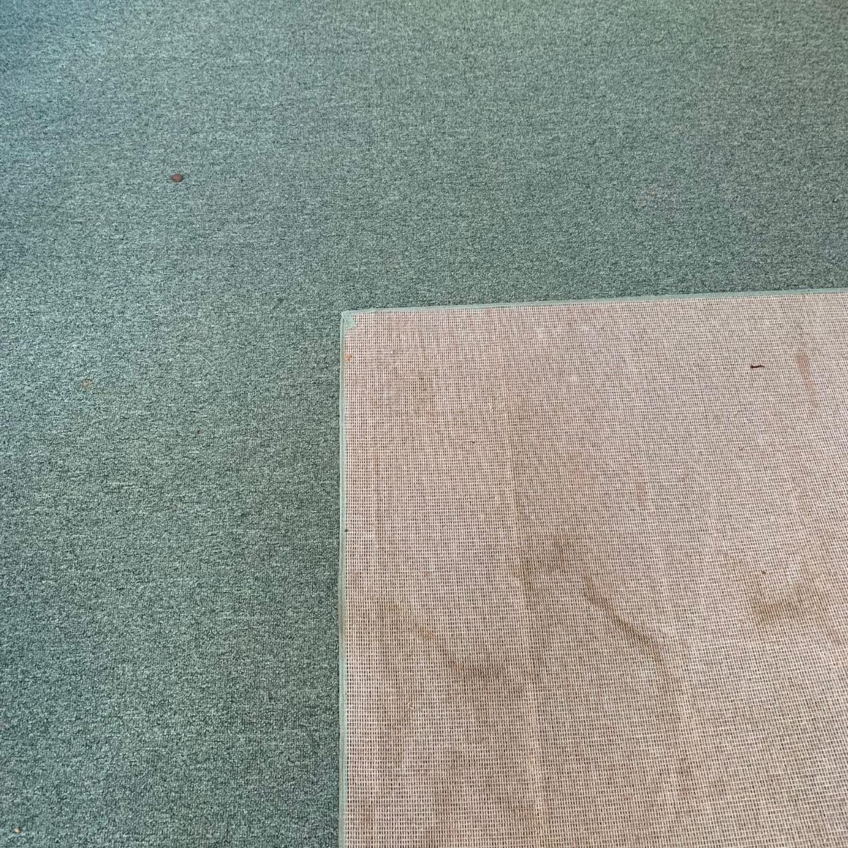 Green Loop Pile Area Rug (SRKW)