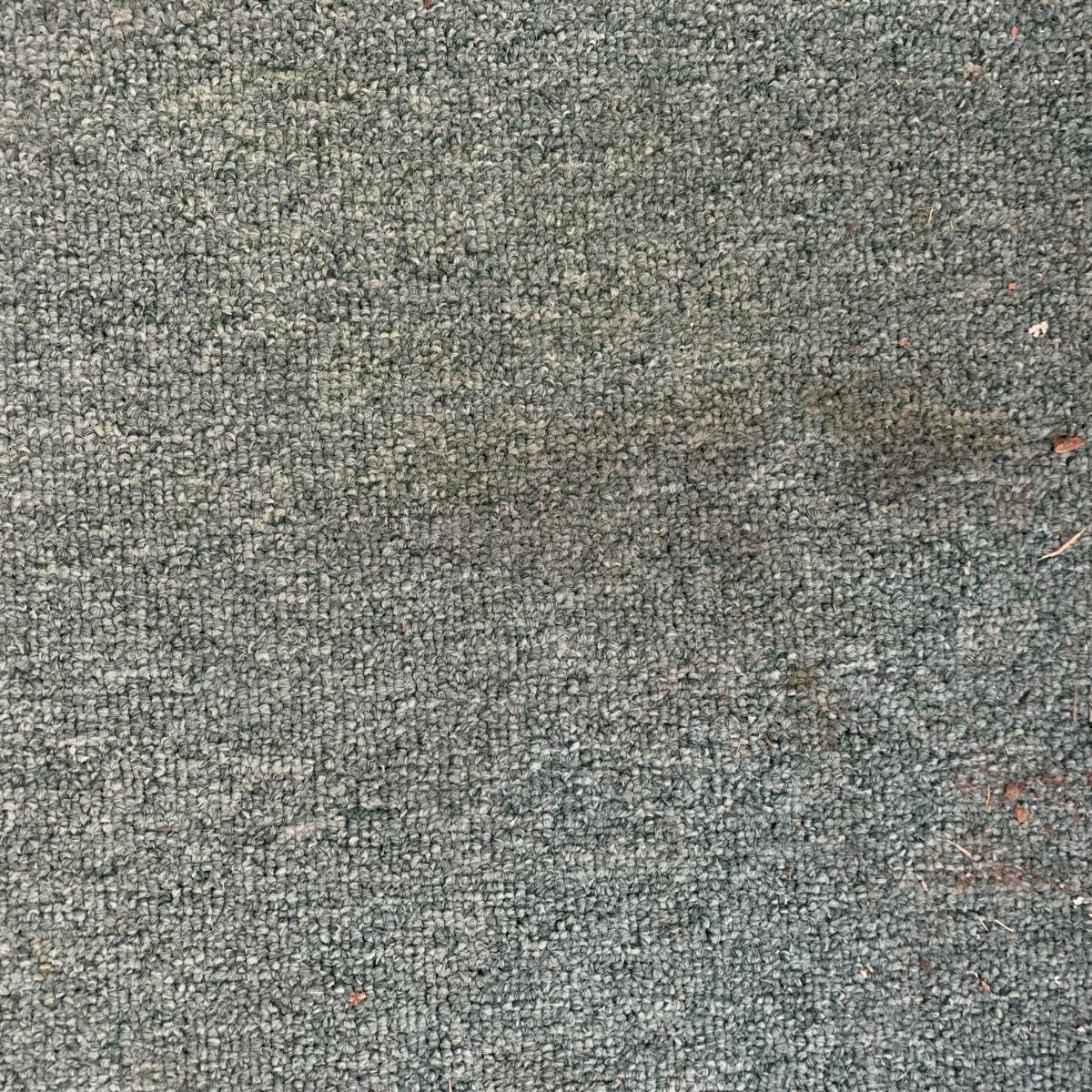 Green Loop Pile Area Rug (SRKW)