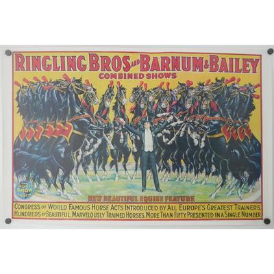 Ringling Bros and Barnum & Bailey Horse Circus Poster