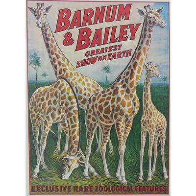 Ringling Bros and Barnum & Bailey Giraffe Circus Poster
