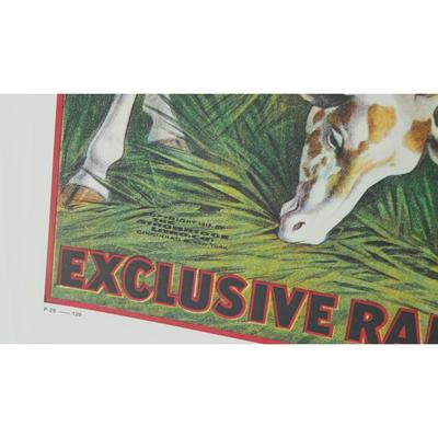 Ringling Bros and Barnum & Bailey Giraffe Circus Poster