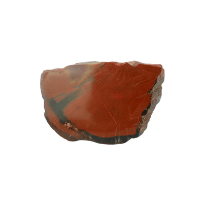 Petrified Wood Fossils