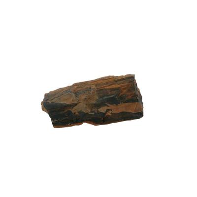 Raw Petrified Wood Fossils